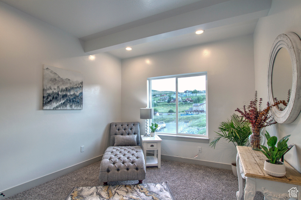 Sitting room featuring carpet, recessed lighting, and baseboards