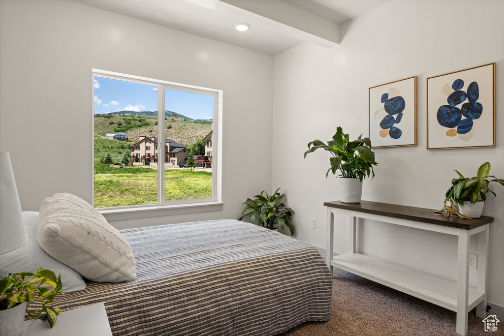 Carpeted bedroom with a mountain view