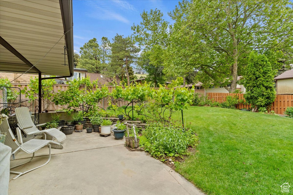 View of yard with a patio area
