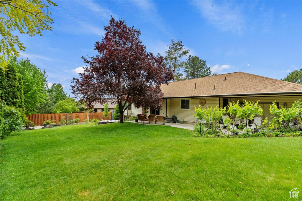 View of yard featuring a patio