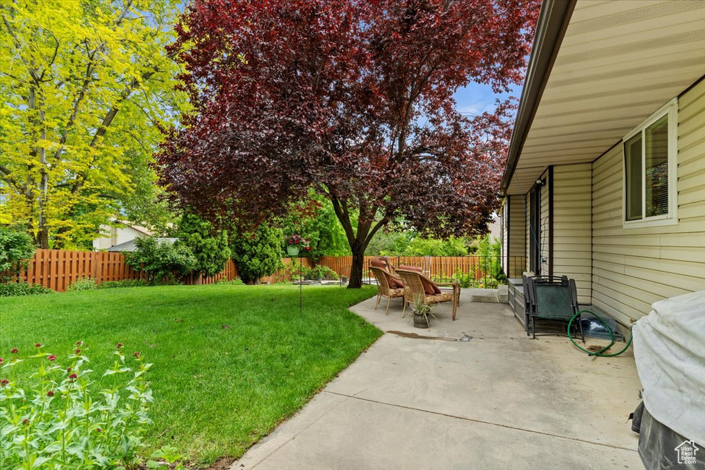View of yard featuring a patio area