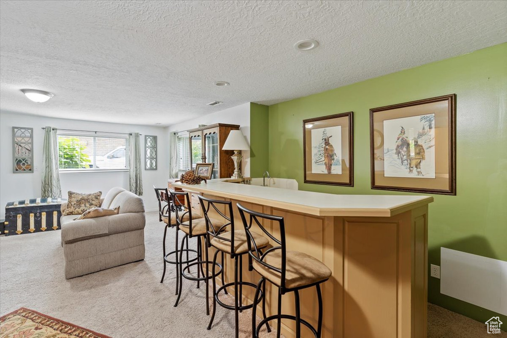 Indoor bar featuring a textured ceiling and carpet