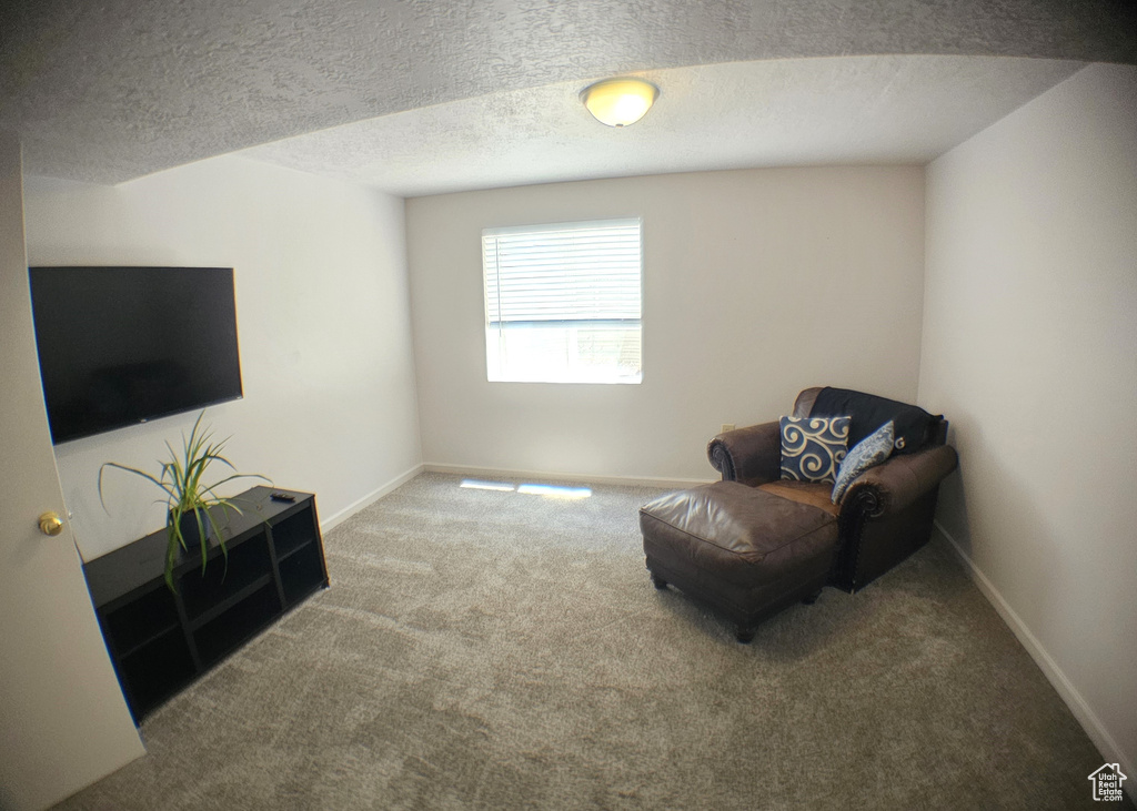 Sitting room featuring carpet floors, baseboards, and a textured ceiling