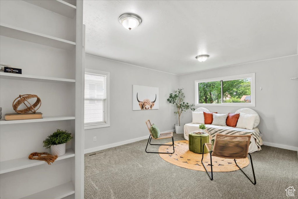 Carpeted living area with baseboards