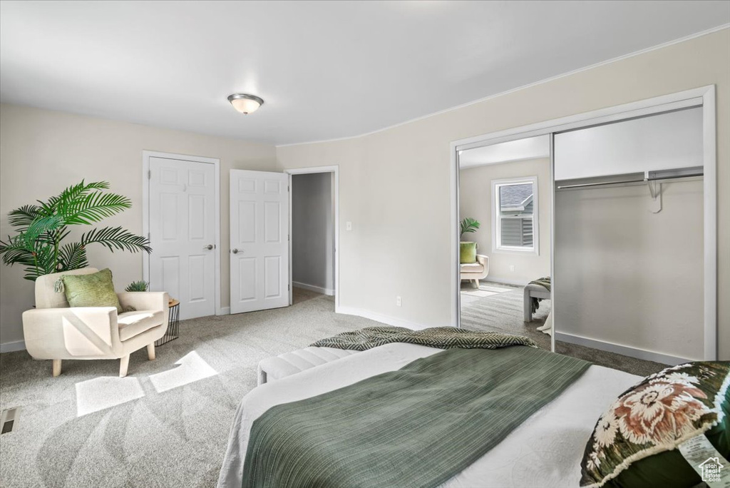 Carpeted bedroom with baseboards and a closet