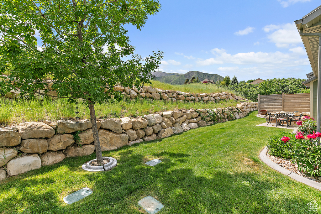 View of yard with a mountain view and a patio area