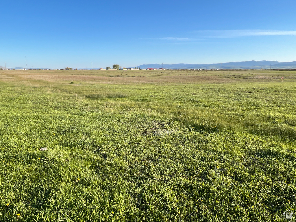 View of yard featuring a view of rural / pastoral area
