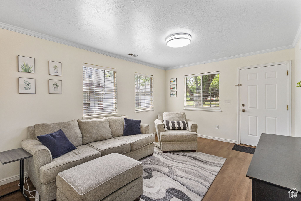 Living area featuring ornamental molding, wood finished floors, baseboards, and a textured ceiling