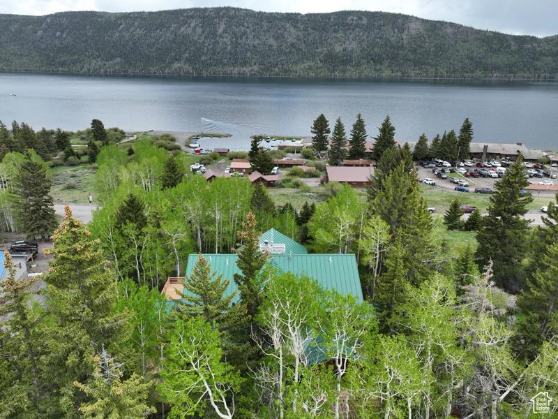 Bird's eye view of a water and mountain view