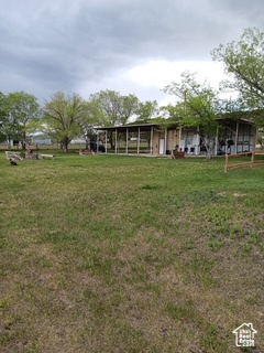 View of green lawn