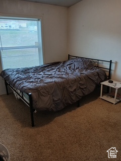 Bedroom featuring carpet