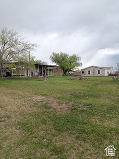 View of green lawn