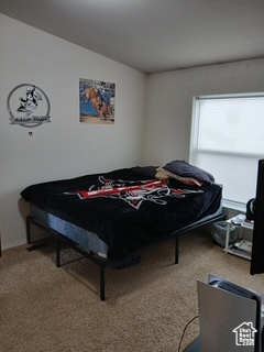 Bedroom with carpet floors and lofted ceiling