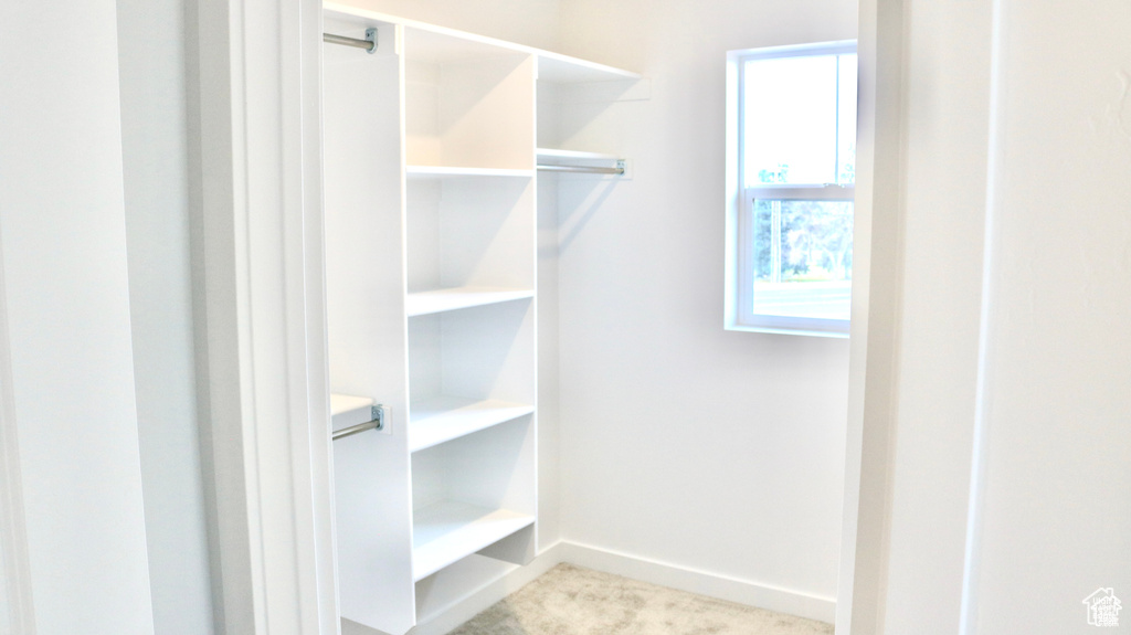 Spacious closet featuring light carpet