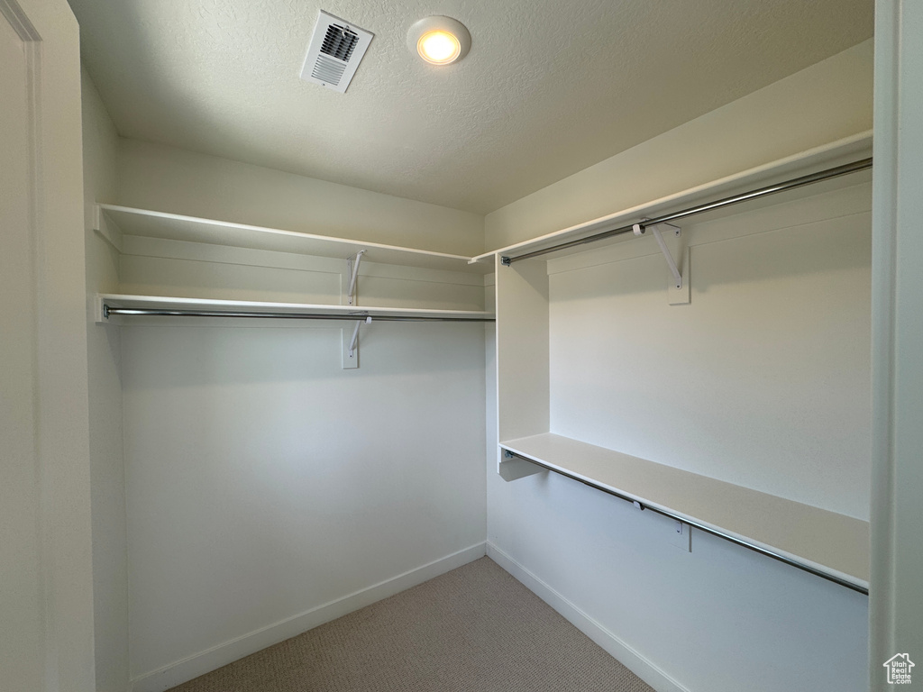 Walk in closet with carpet