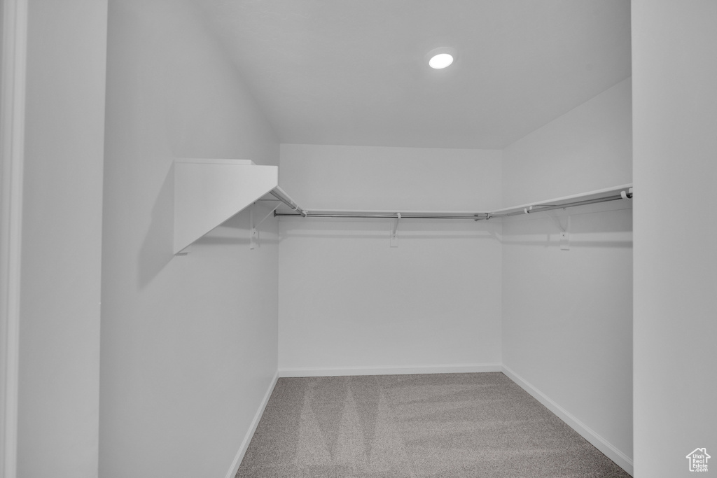 Spacious closet with carpet