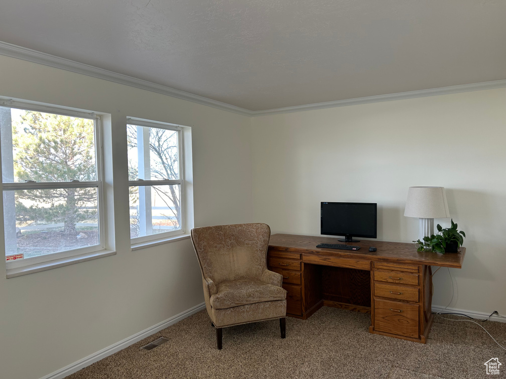 Office space featuring crown molding, light carpet, and baseboards