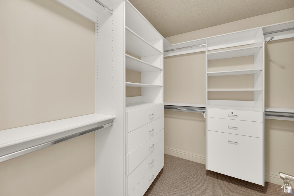 Spacious closet with carpet floors