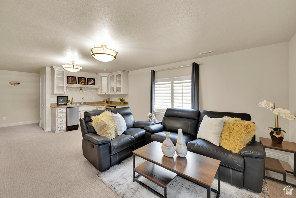 Living room with wet bar, light colored carpet, baseboards, and a textured ceiling