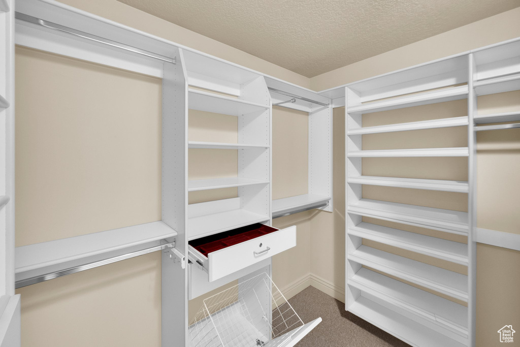 Walk in closet featuring carpet