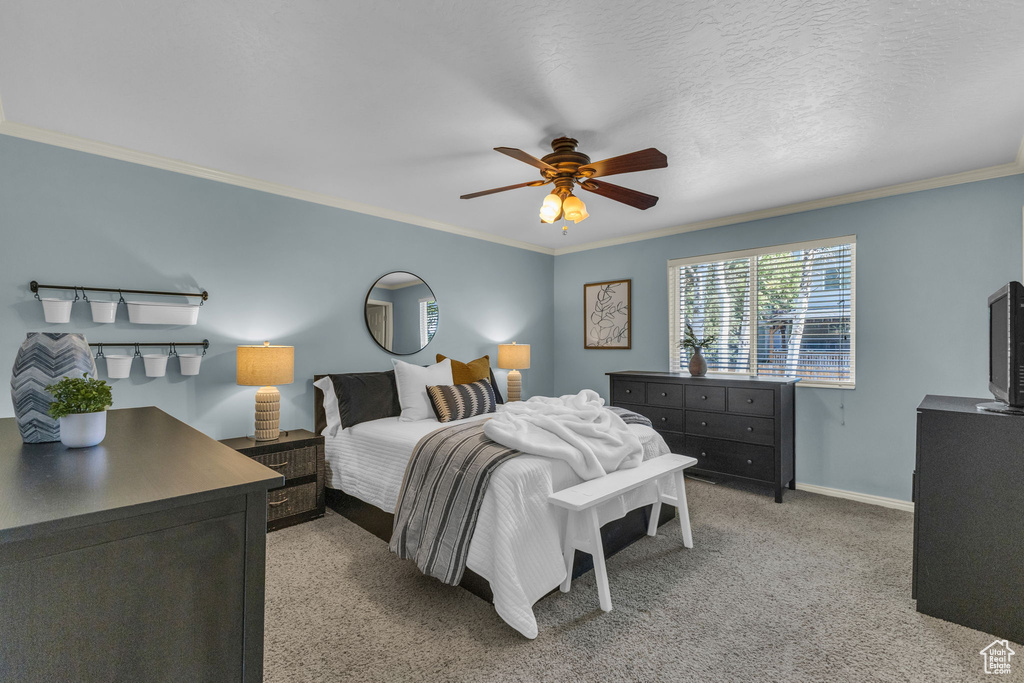 Carpeted bedroom with ornamental molding, a ceiling fan, and baseboards