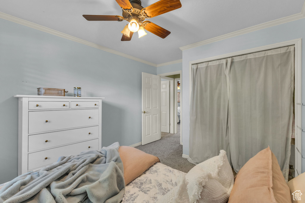 Bedroom with carpet flooring, baseboards, crown molding, and ceiling fan