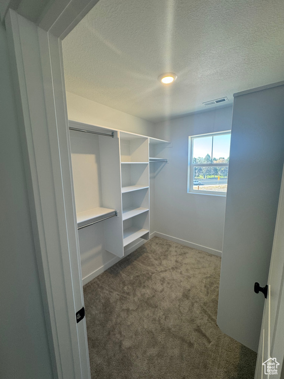 Spacious closet with dark carpet