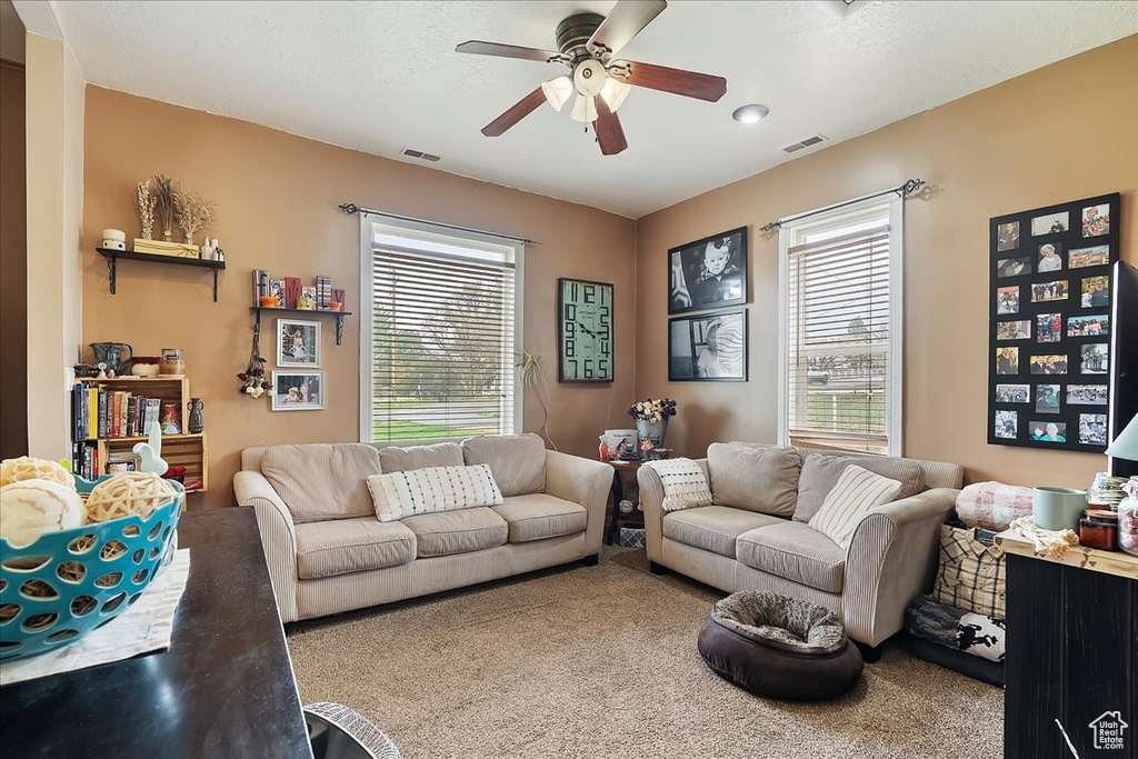 Living area featuring a ceiling fan, plenty of natural light, and carpet