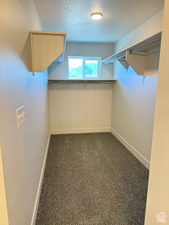 Spacious closet with dark carpet