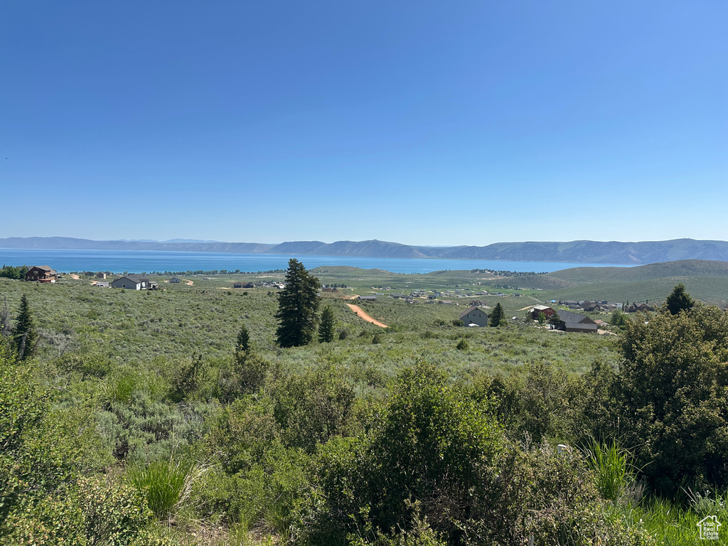Mountain view