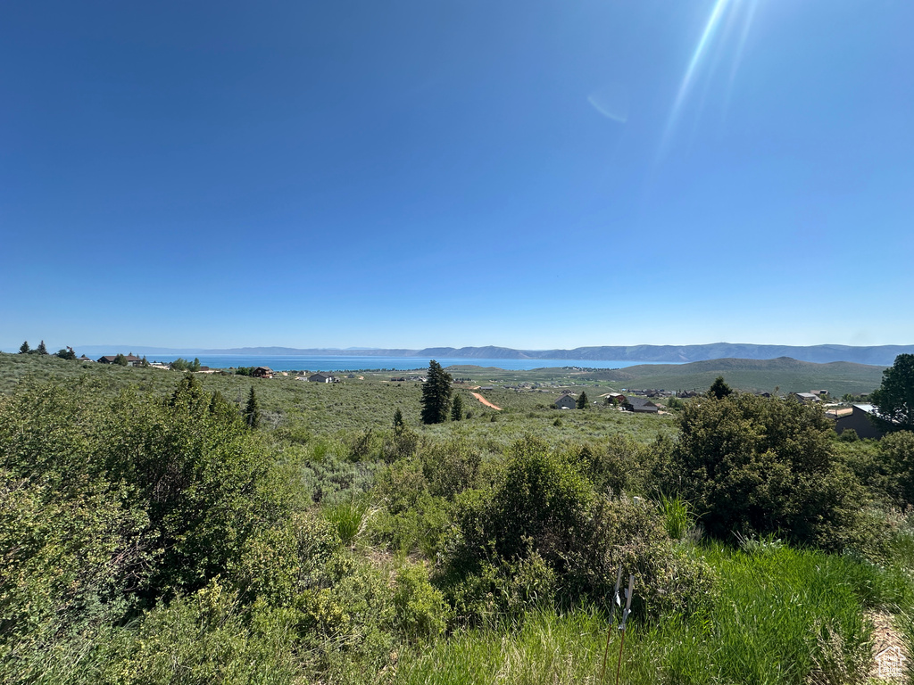 Mountain view