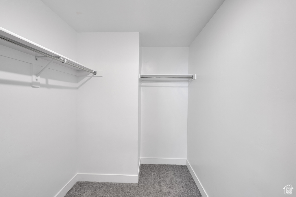 Spacious closet with carpet floors