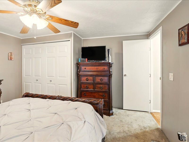 Bedroom with a closet, light colored carpet, ornamental molding, and a ceiling fan