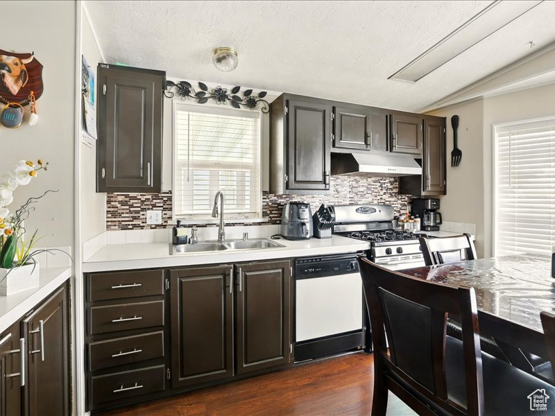 Kitchen with a sink, under cabinet range hood, dishwasher, stainless steel range with gas stovetop, and light countertops