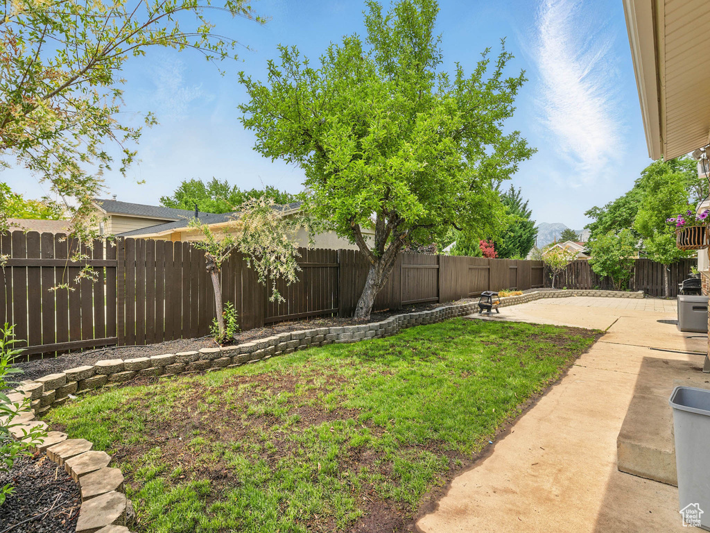 View of yard featuring a patio