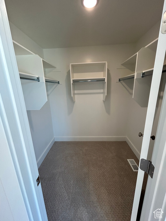 Walk in closet featuring carpet