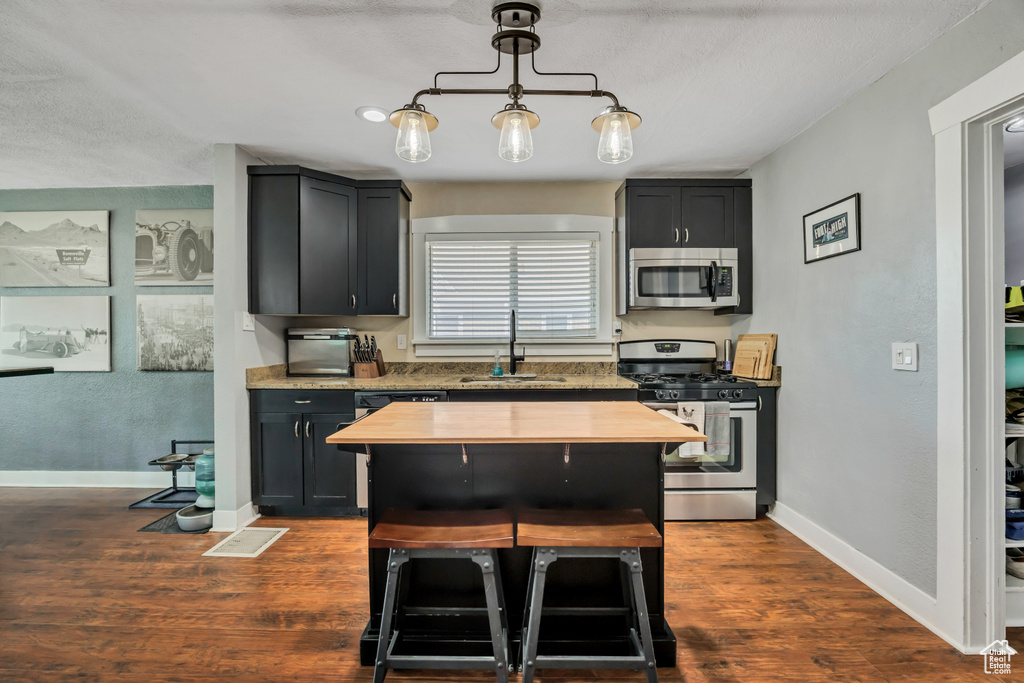 Kitchen with stainless steel appliances, a sink, dark cabinets, and dark wood-style flooring