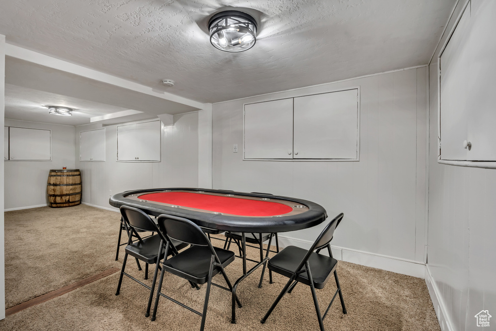 Rec room featuring light carpet, baseboards, and a textured ceiling