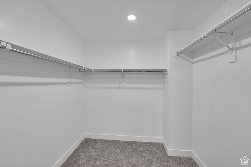 Spacious closet featuring carpet floors