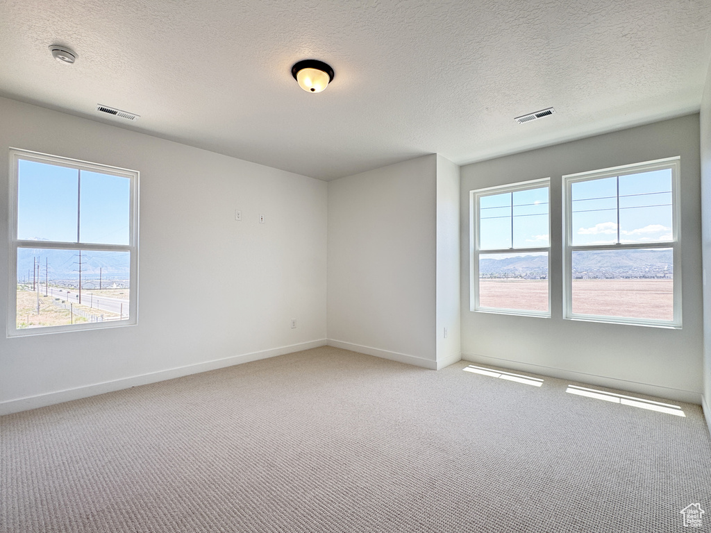 Spare room featuring light colored carpet, baseboards, a textured ceiling, and a smoke detector