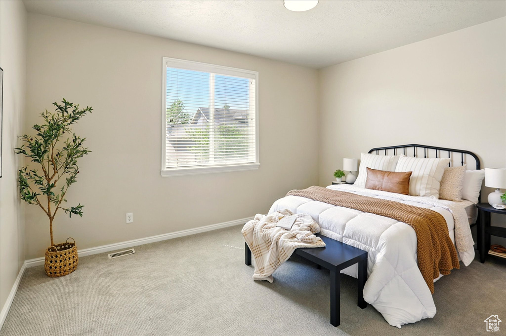 Bedroom with carpet floors and baseboards