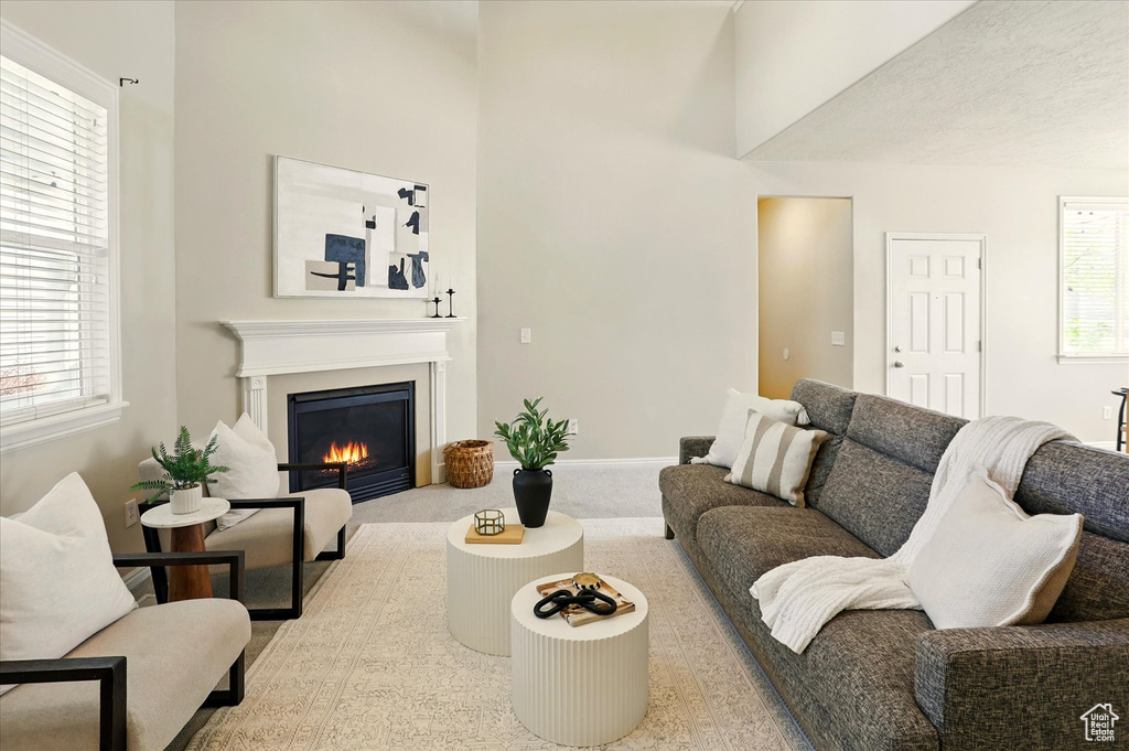 Living room with a glass covered fireplace, carpet floors, and baseboards