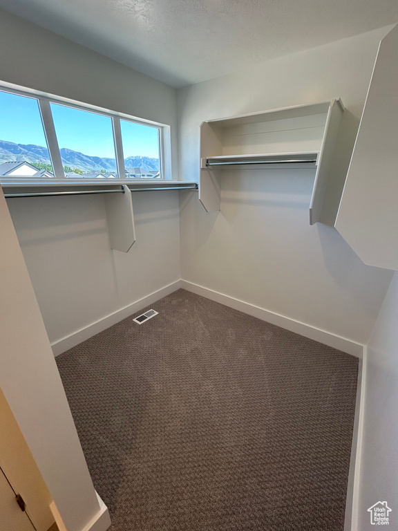 Walk in closet with carpet