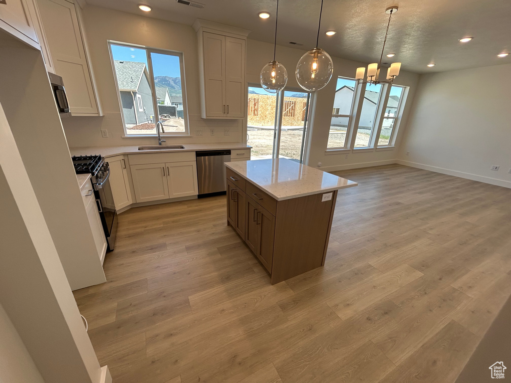 Kitchen with stainless steel appliances, a sink, recessed lighting, plenty of natural light, and light wood finished floors