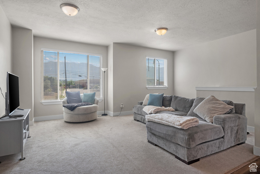 Carpeted living room with baseboards and a textured ceiling