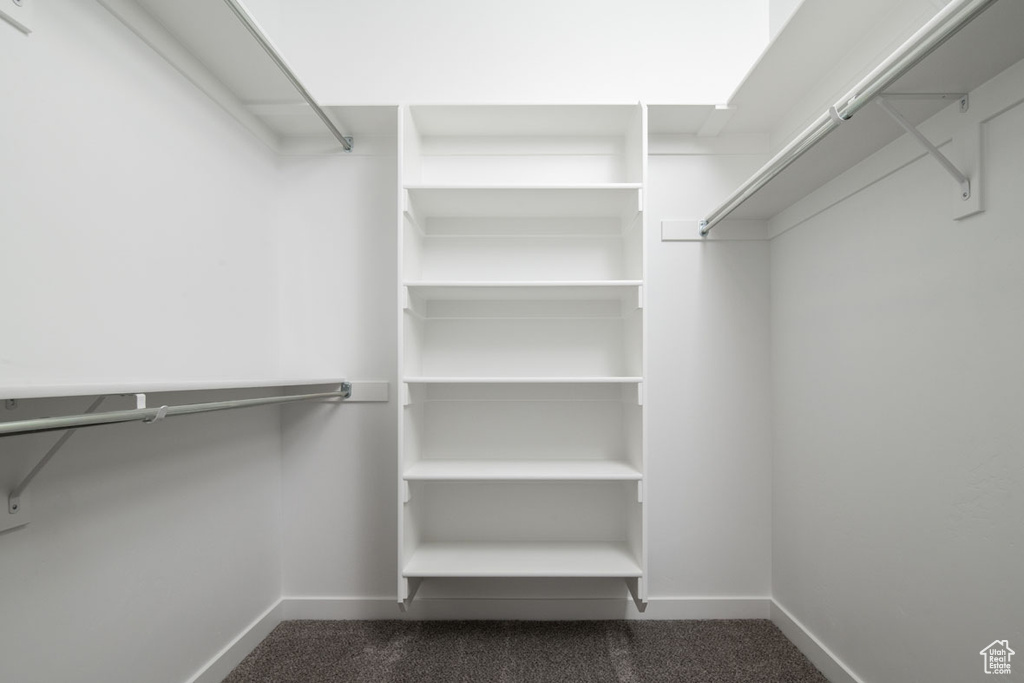 Walk in closet with dark carpet