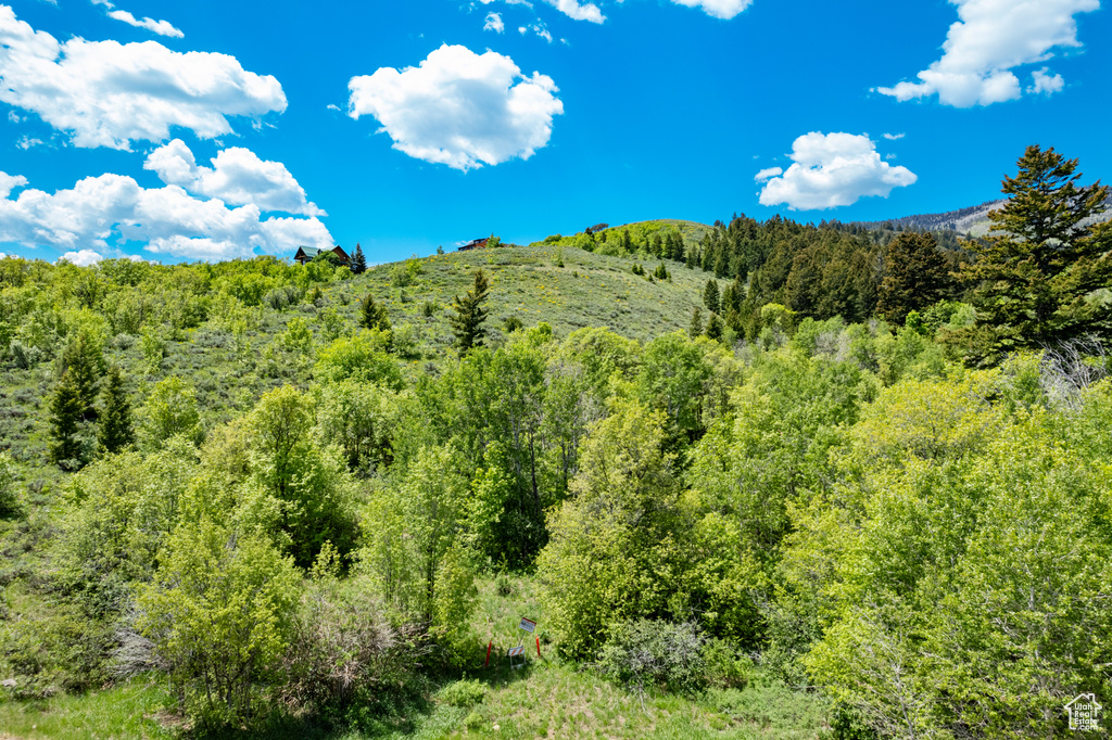 View of mountain background featuring a forest