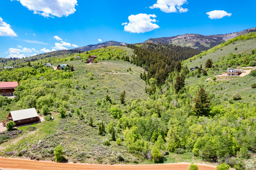 View of mountain background featuring a forest