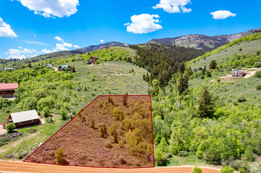 Mountain view featuring a heavily wooded area