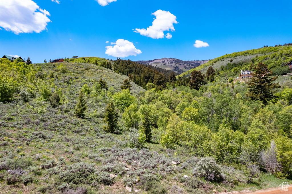 Mountain view with a heavily wooded area